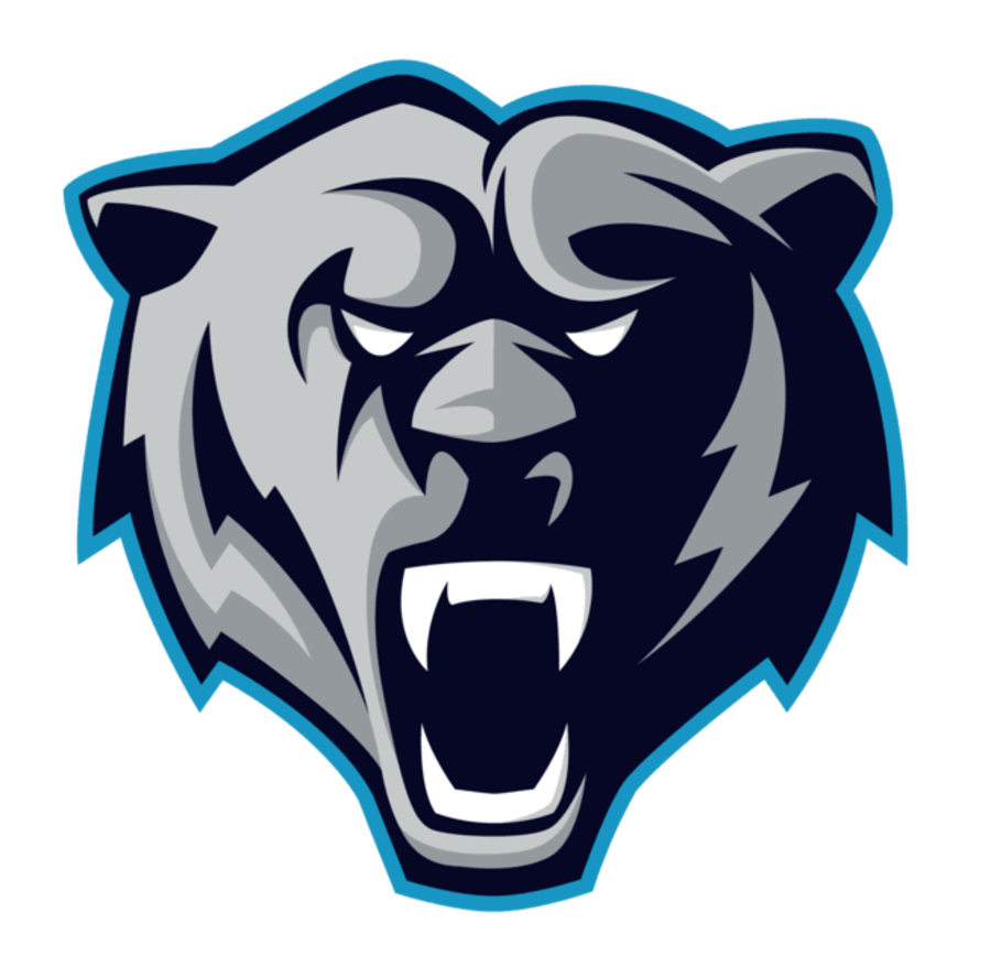 Bears take the lead – Eishockey.net