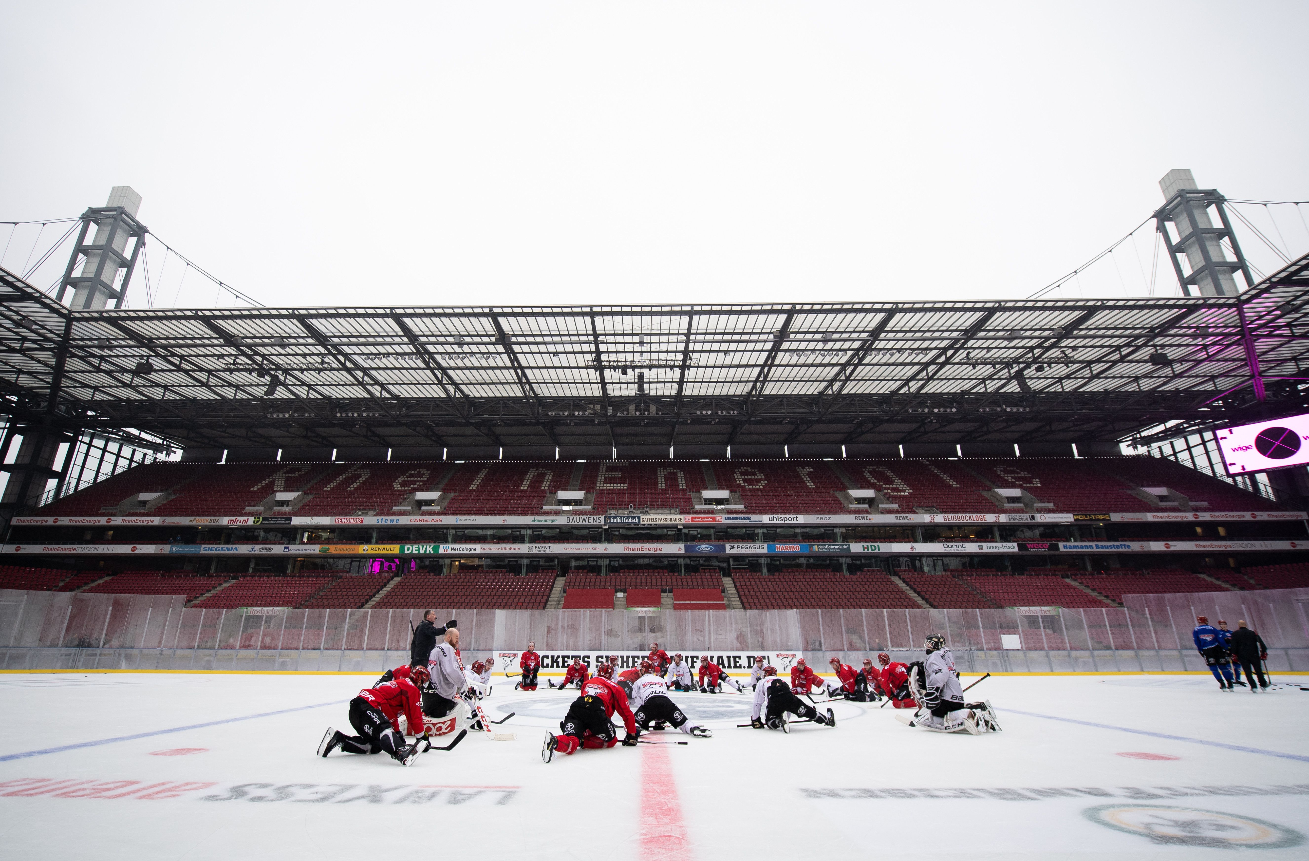 Training der Kölner Haie