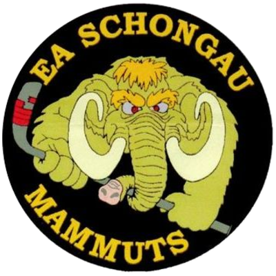 EA Schongau