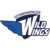 Wild Wings teilen Punkte in Düsseldorf